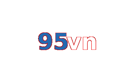 95vn